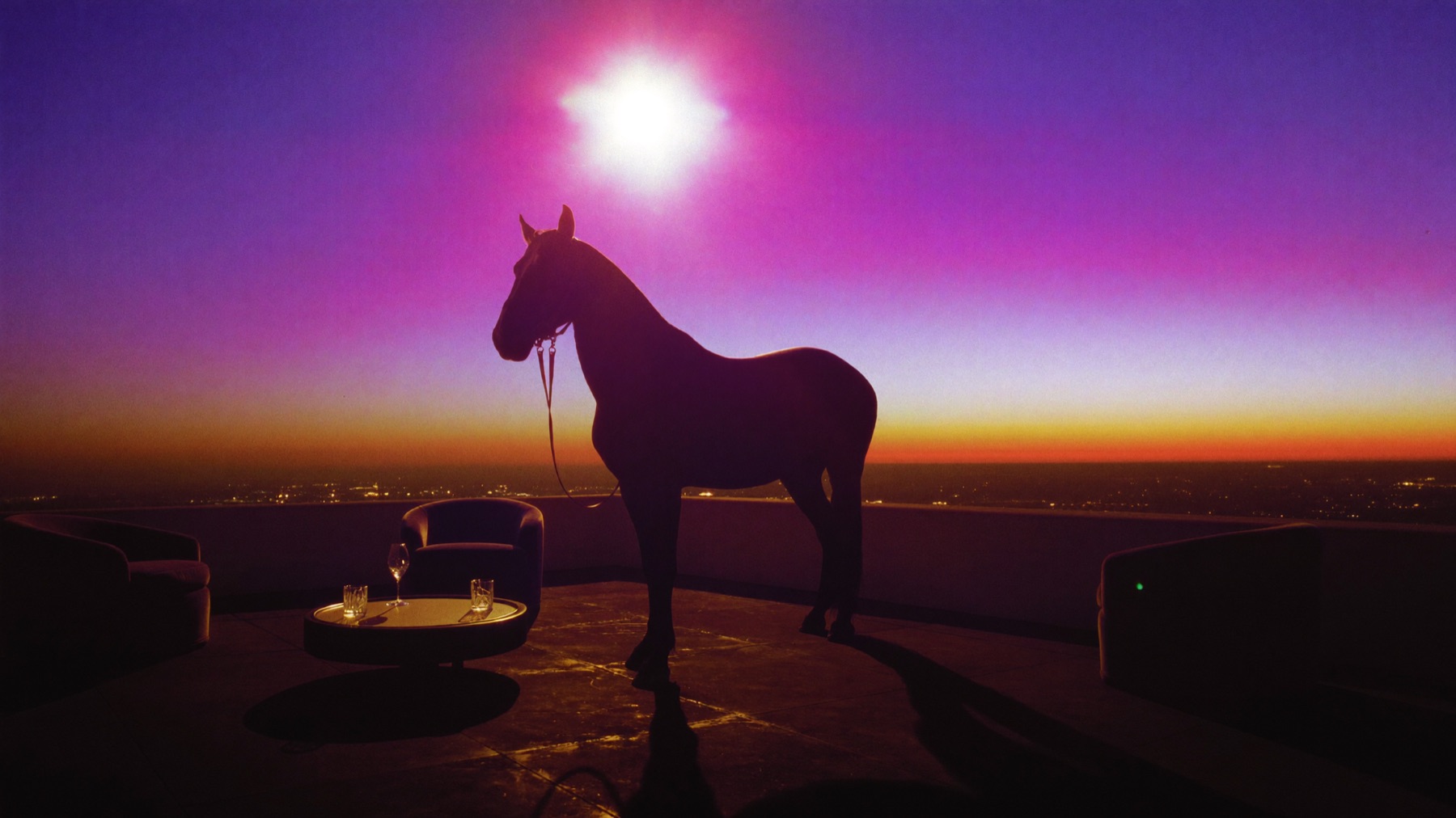 Caballo al atardecer